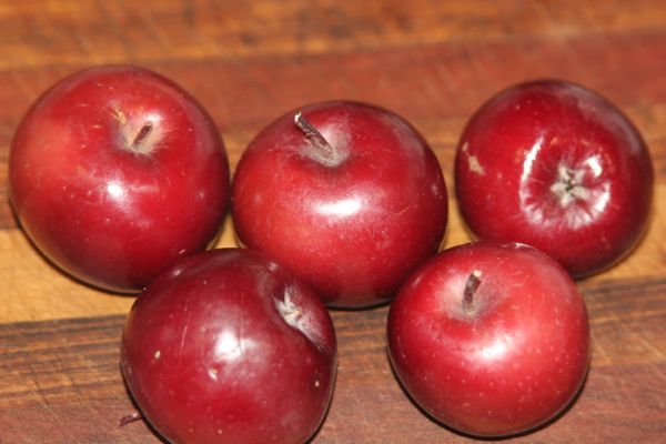 Redlove Era Apples - Types of Apples