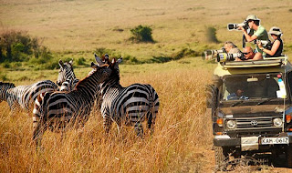  Our experienced tour guides will teach you the ABC’s of East African Safari 