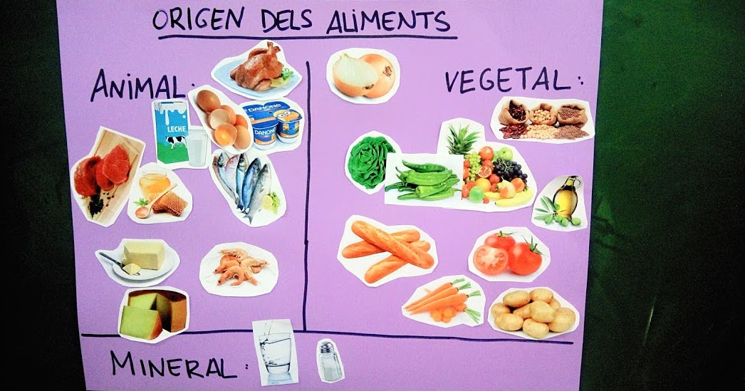 Bloc d'aula de 2n de Primària: D'on venen els aliments?