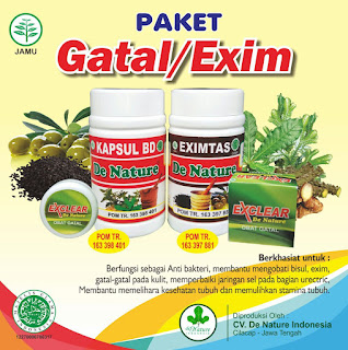 Bahan Obat tradisional bintik bening berair gatal