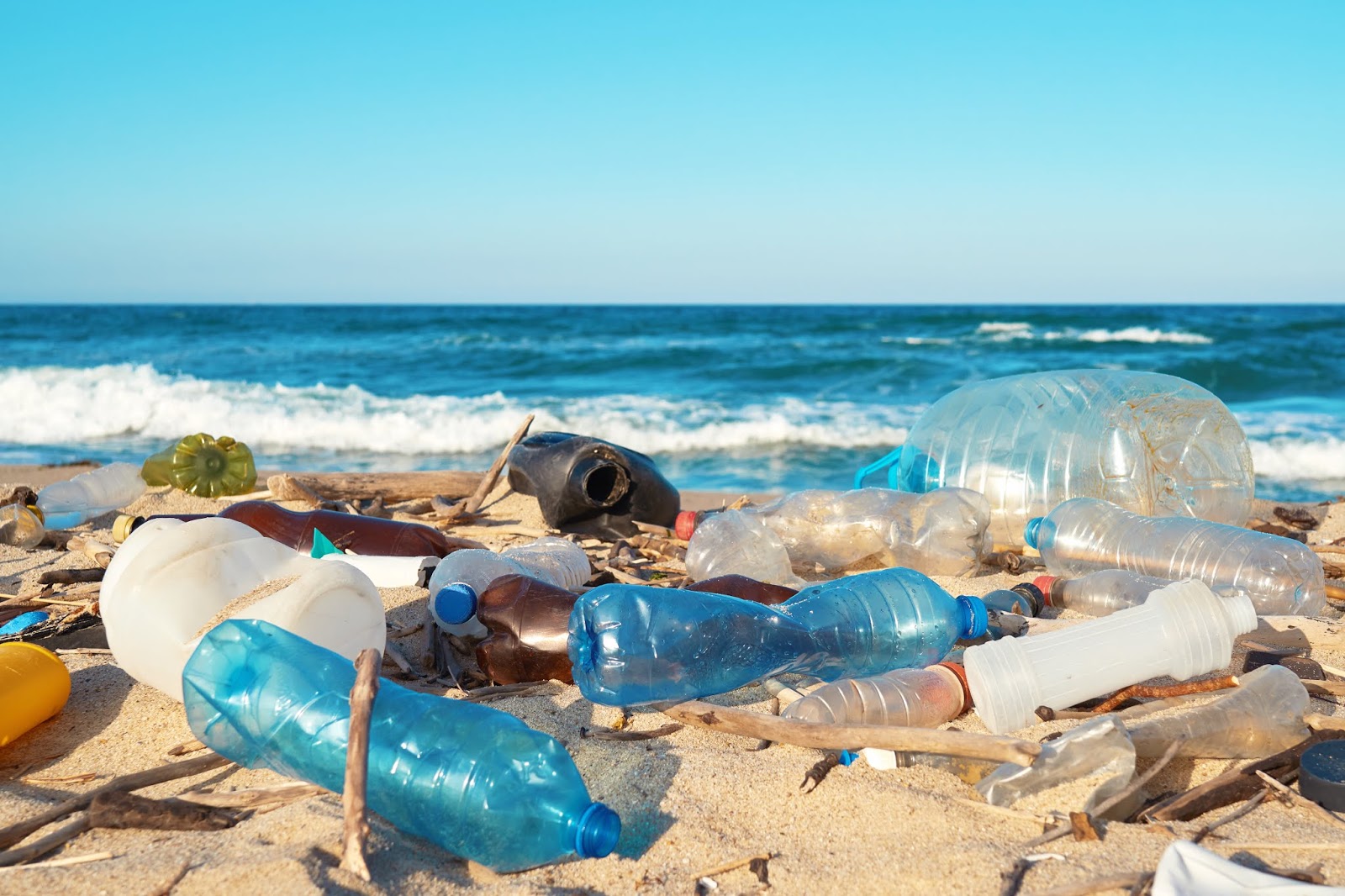 News Why is plastic so harmful?