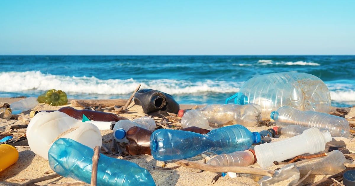 News Why is plastic so harmful?
