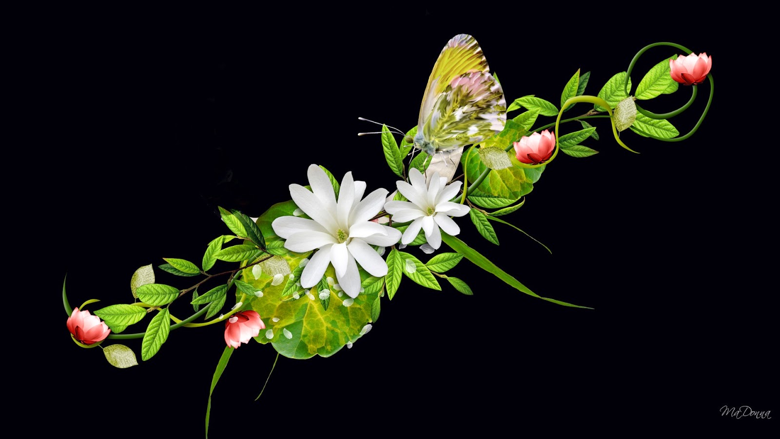 3D HD Wallpapers Flowers | Full Free HD Flowers Wallpapers Wide