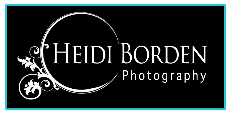 Heidi Borden Photography