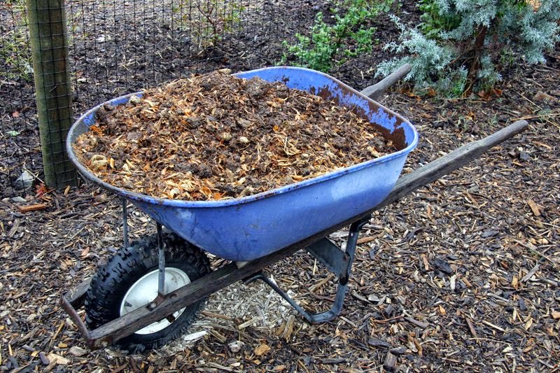 Yard and Garden Secrets Fertilize Flower Gardens (How To)