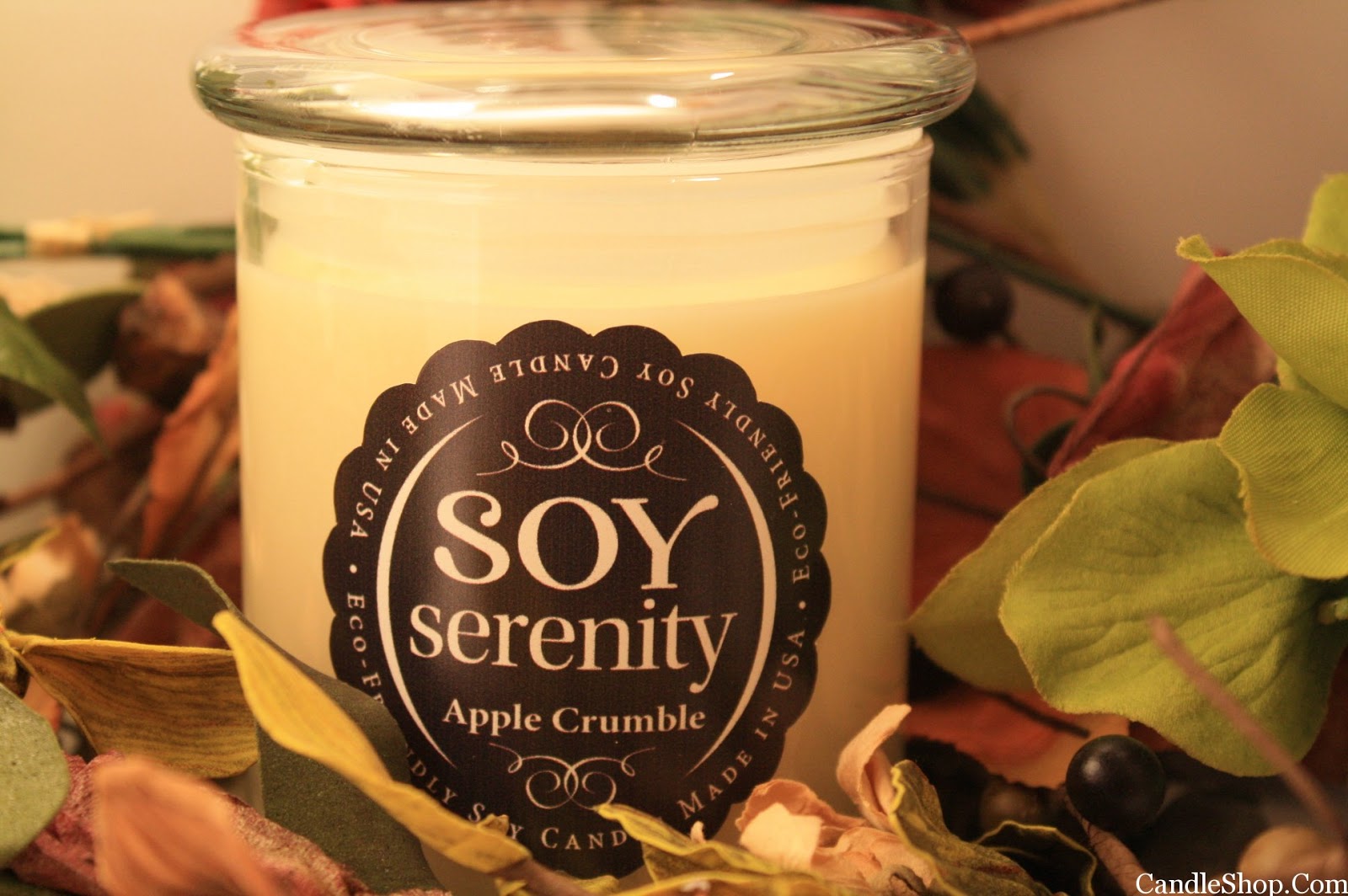 Susan's Disney Family Mother's Day Gift Guide Serenity Candle Company