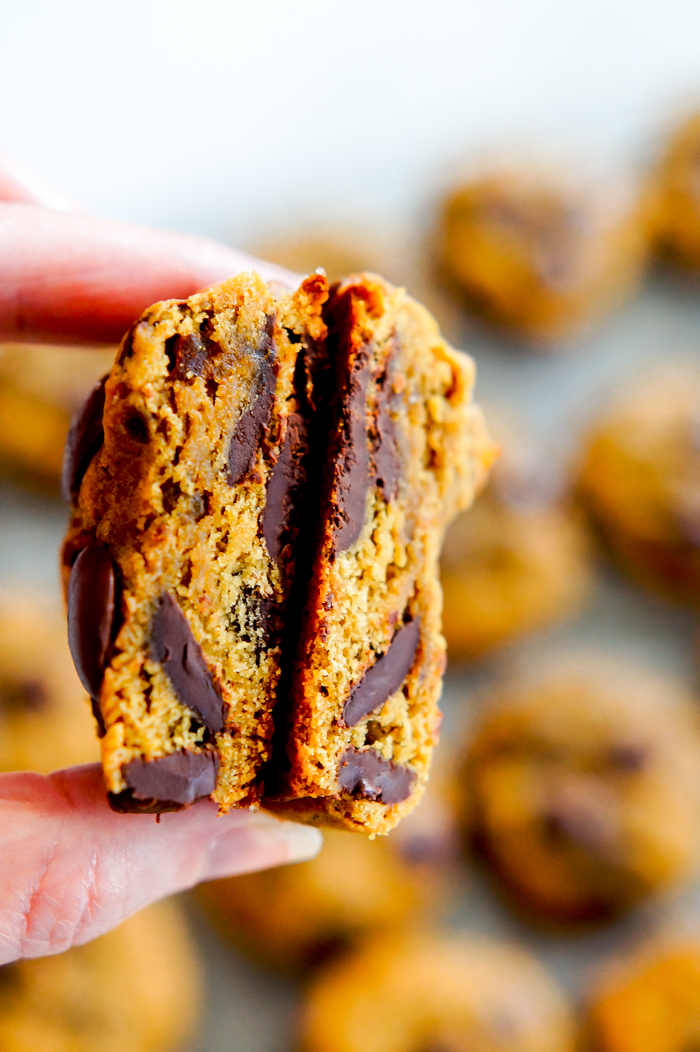 Coconut Sugar Chocolate Chip Cookies