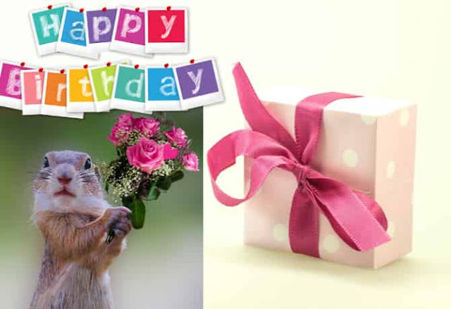 Birthday celebration images free download Birthday celebration images free download