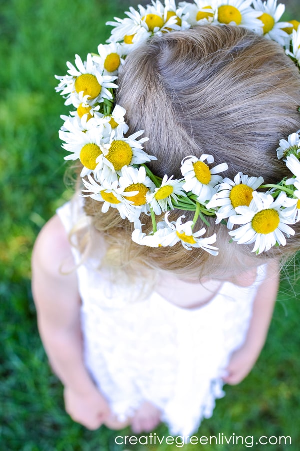 How to Make a Daisy Flower Crown with Real Flowers Creative Green Living