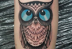 66 Wallpaper Iphone Burung Hantu Hd Gambar Hantu