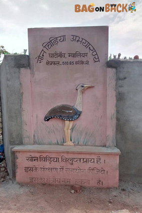 Bird-Sanctuary-Ghati-Gaon-Gwalior