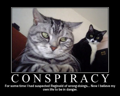 conspiracy-cat-cats-kitten-kitty-pic-picture-funny-lolcat-cute-fun-lovely-photo-images - funny images-funny animal 