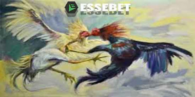 Sabung Ayam Online
