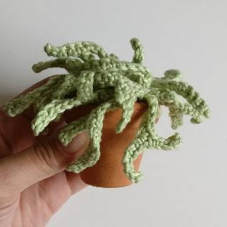 PATRON CACTUS AMIGURUMI 27855