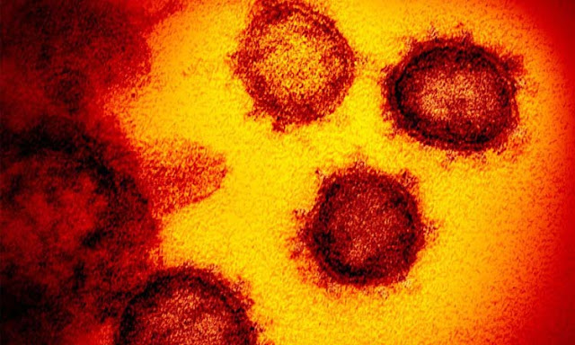 Bahia tem 456 casos de coronavírus; 106 pacientes estão curados​