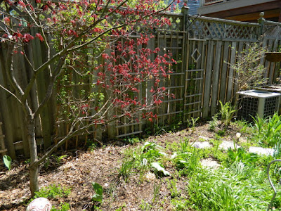 Riverdale Backyard Spring Cleanup Before by Paul Jung Gardening Services a Toronto Gardening Company Riverdale Backyard Spring Cleanup Before by Paul Jung Gardening Services a Toronto Gardening Company
