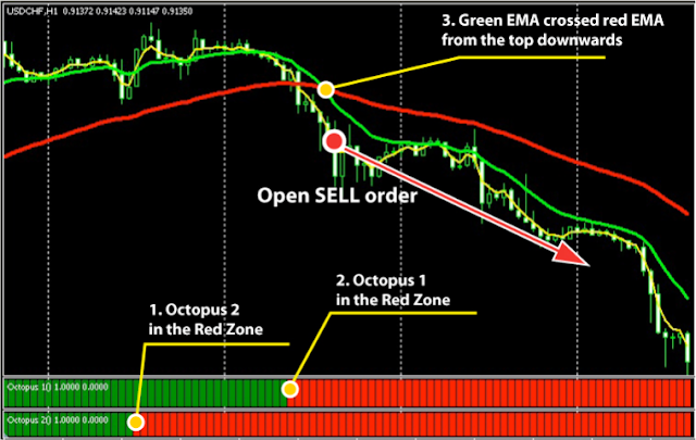 Forex Octopus System