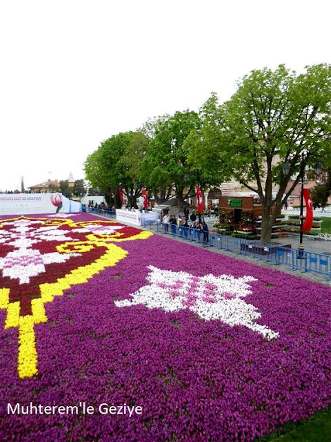 İstanbul lale festivali