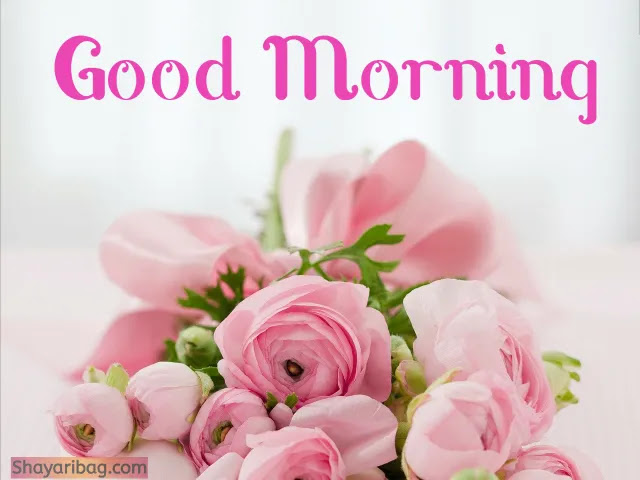 Good Morning Images Good Morning Images