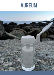 moisture proof salt shaker