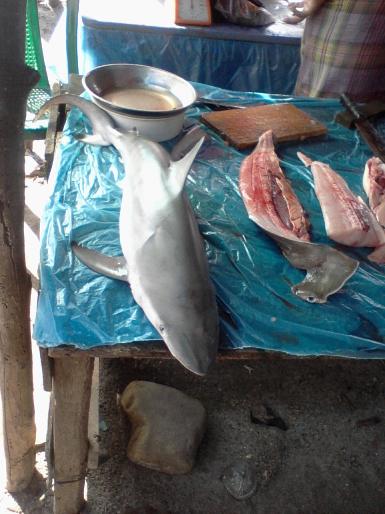 Resep Gulai Ikan Hiu Dahlia Siregar