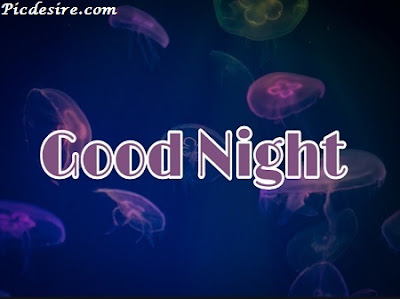 Top 101 Good Night Images || Best Good Night Images Top 101 Good Night Images || Best Good Night Images