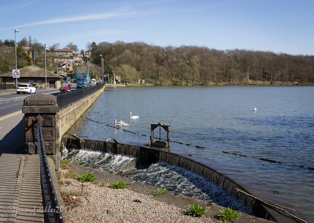 Saltaire Daily Photo Newmillerdam walk