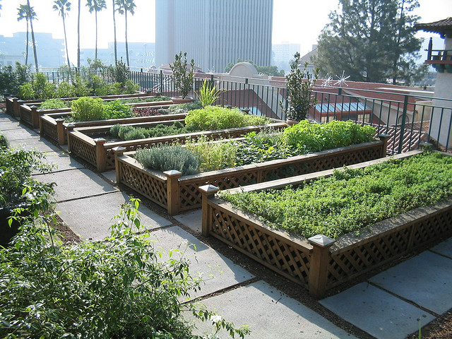 Ewa in the Garden: 10 Beautiful Ideas for Herb Garden