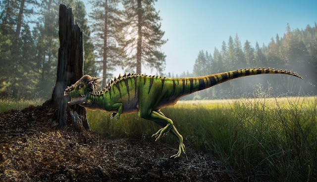 Гиганты мира рептилий: птицетазовые динозавры 