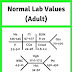 Normal Lab Values
