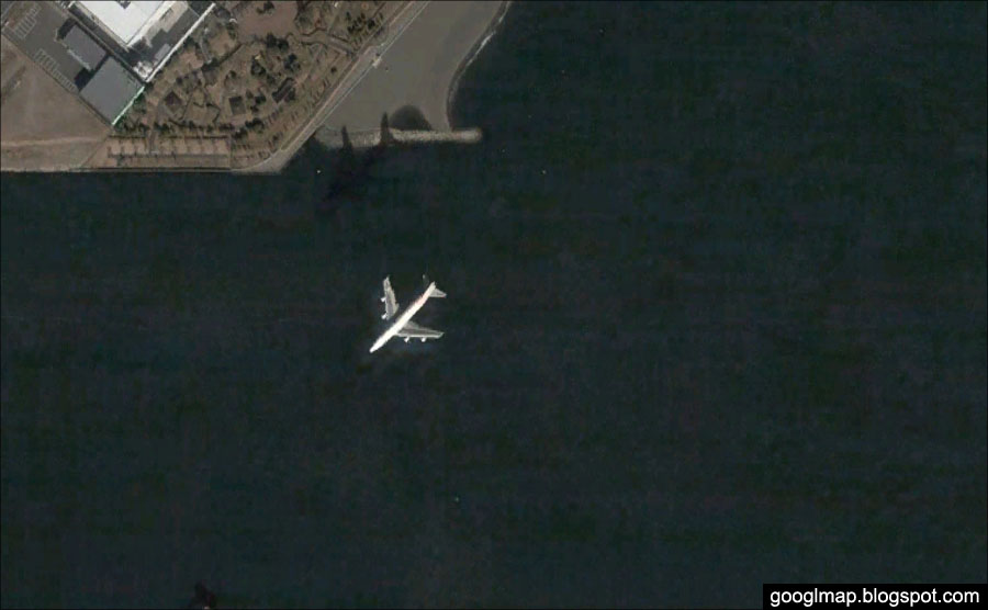 акула на гугл картах