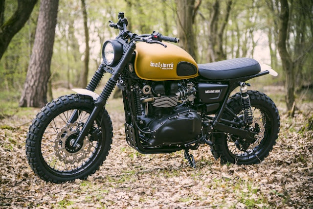 Triumph Scrambler By Walzwerk Racing