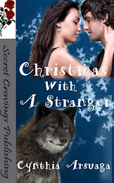 Christmas With A Stranger