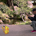 Lebih seronok! Pokemon Go dimainkan dengan HoloLens 2