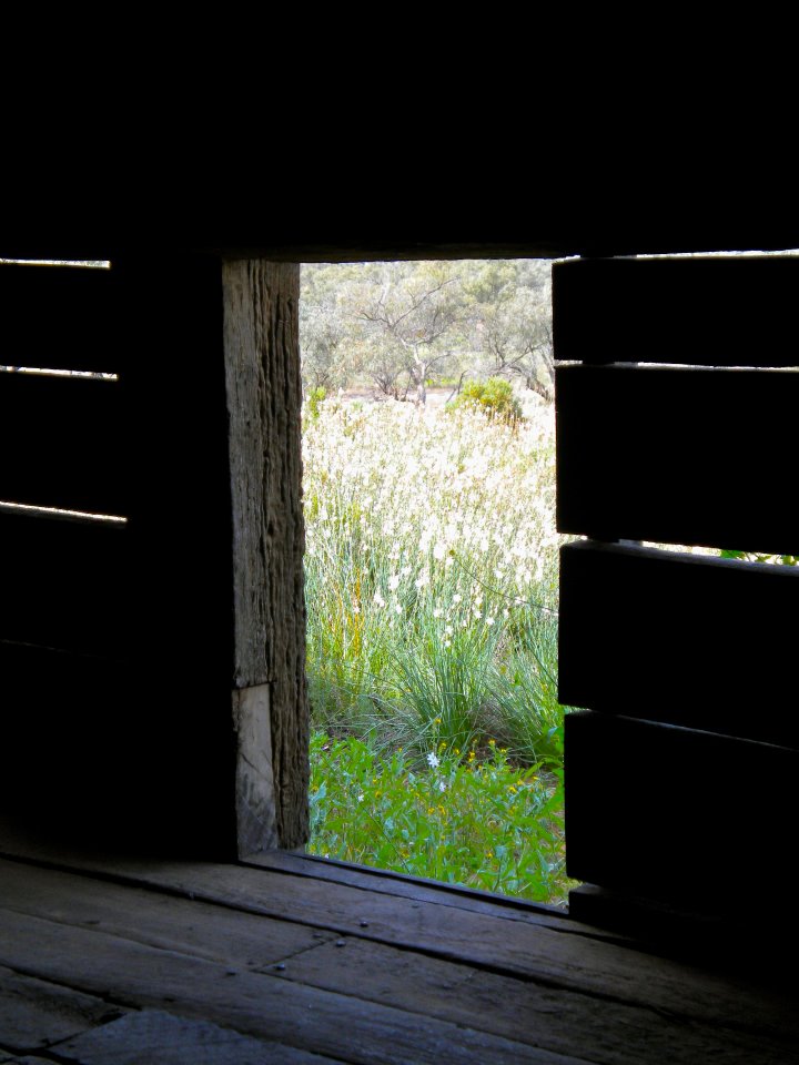 Sydney Day Tours Sydney Day Tours