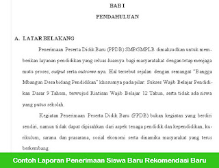 Contoh Laporan Kegiatan PPDB Terbaru