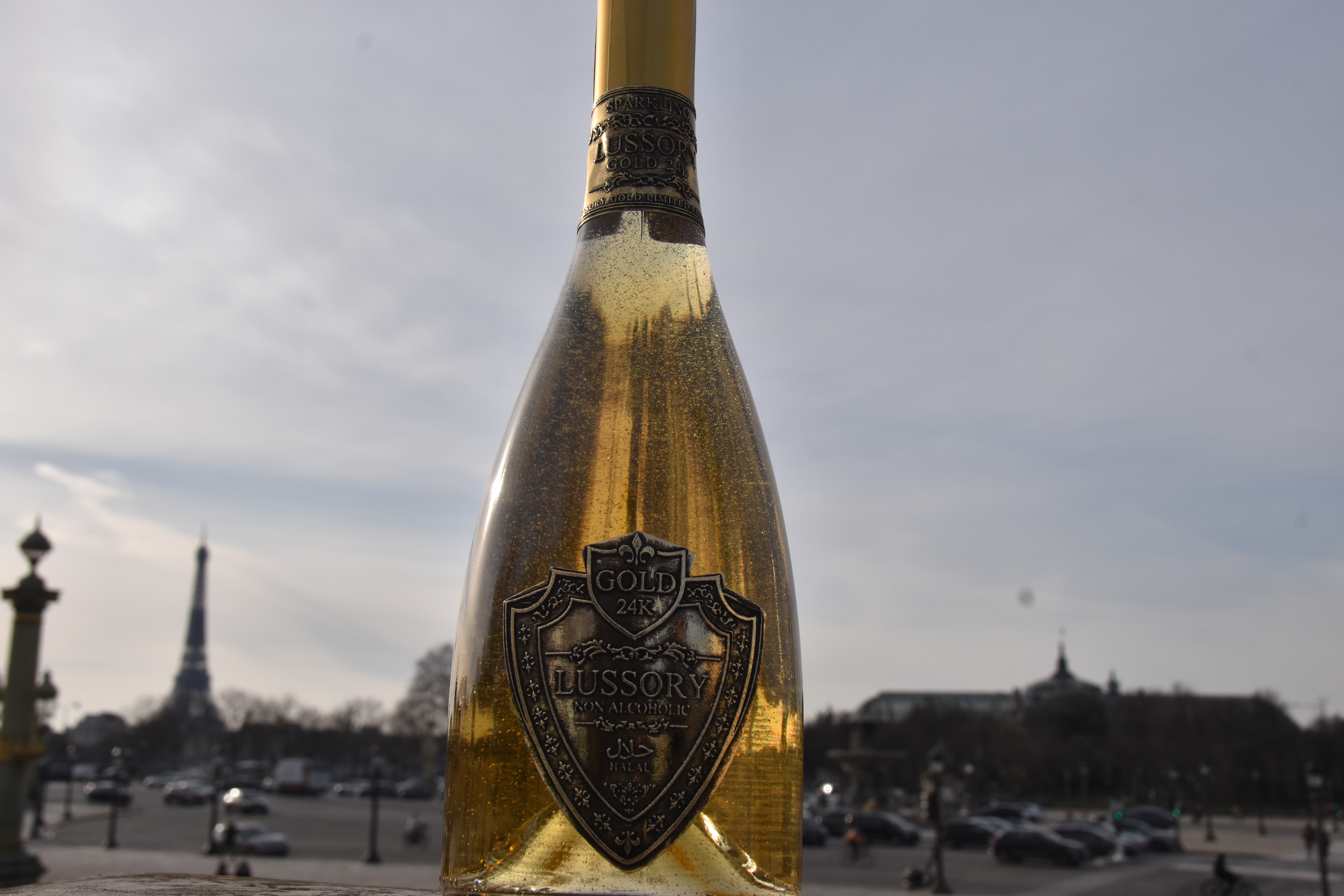 L’attribut alt de cette image est vide, son nom de fichier est DSC_0063%2B%25282%2529.JPG.