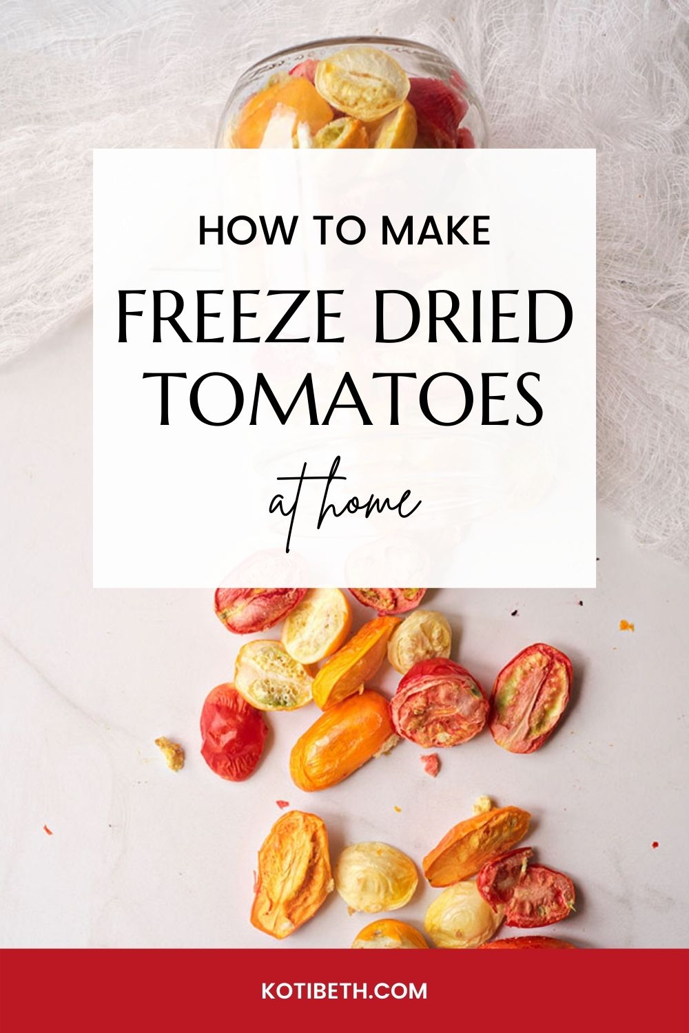 Freeze Drying Tomatoes at Home With Harvest Right Koti Beth