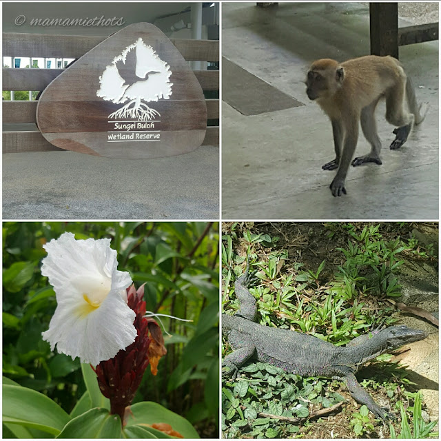 55 More Fun Places To Bring Kids In Singapore The Chill Mom