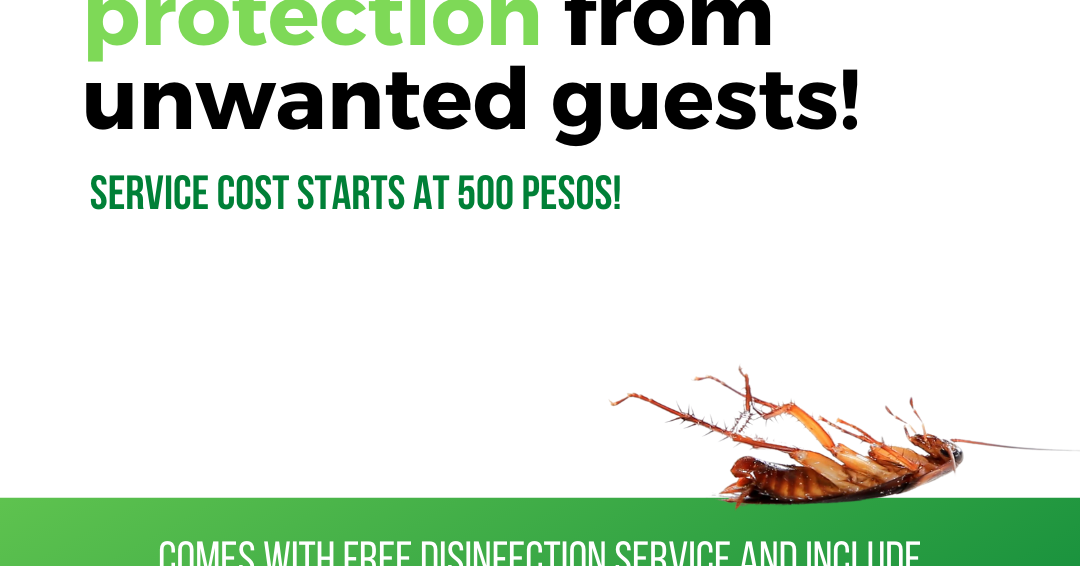 Pest Control for Businesses in the Philippines Triple A Pest