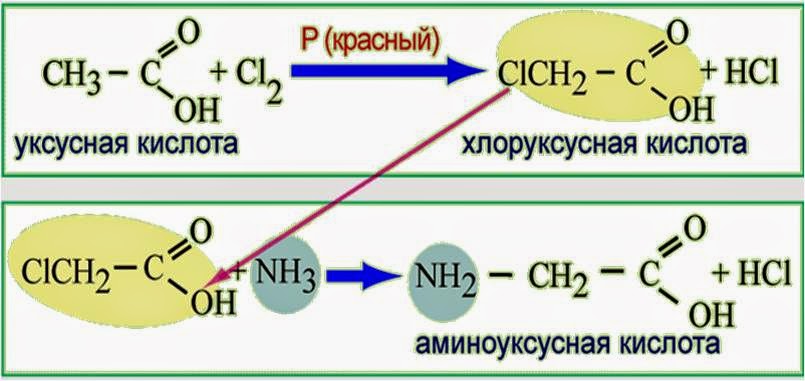 Уксусная кислота хлоруксусная кислота реакция