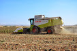 Claas Lexion 550 & Moresil GB 700 cuttebar