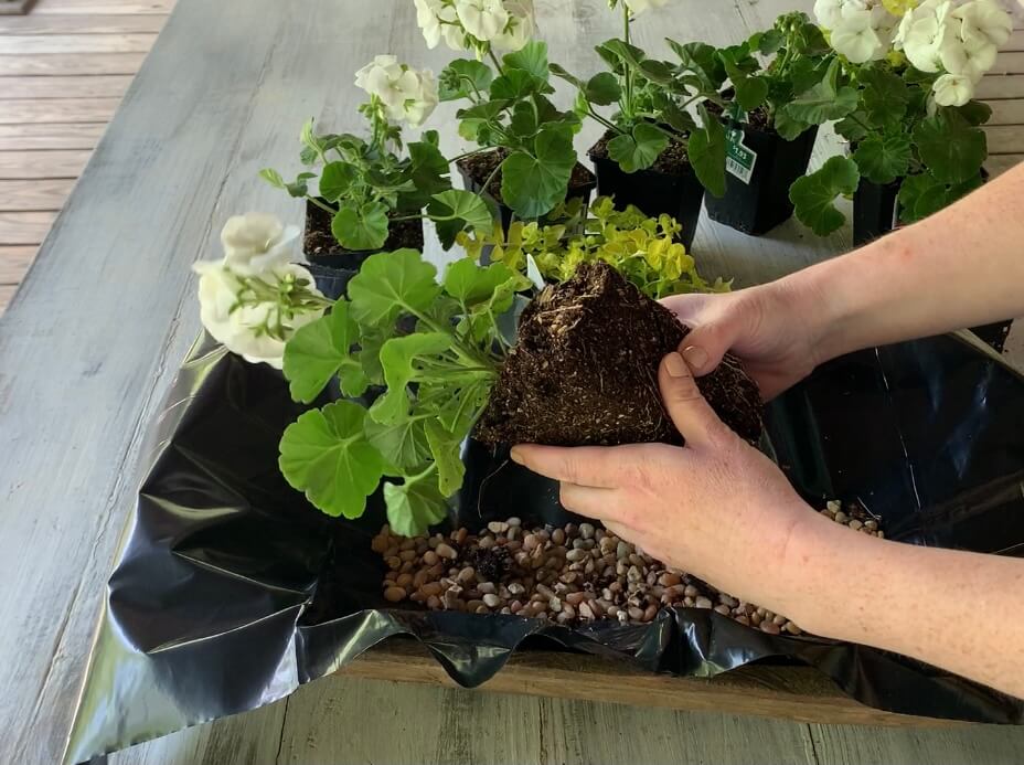 How to Make a Wood Dough Bowl Planter Centerpiece The Roots of Home