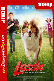  Lassie Vuelve a Casa (2020)
