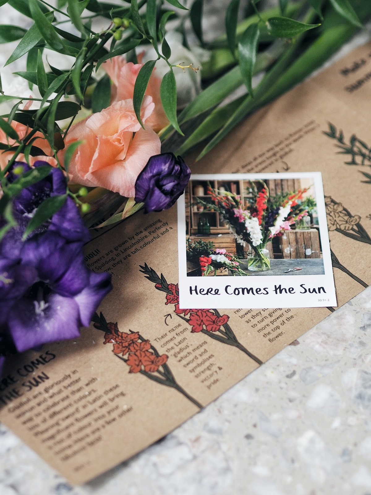 Freddie's Flowers Beautiful, Lasting Blooms angloyankophile