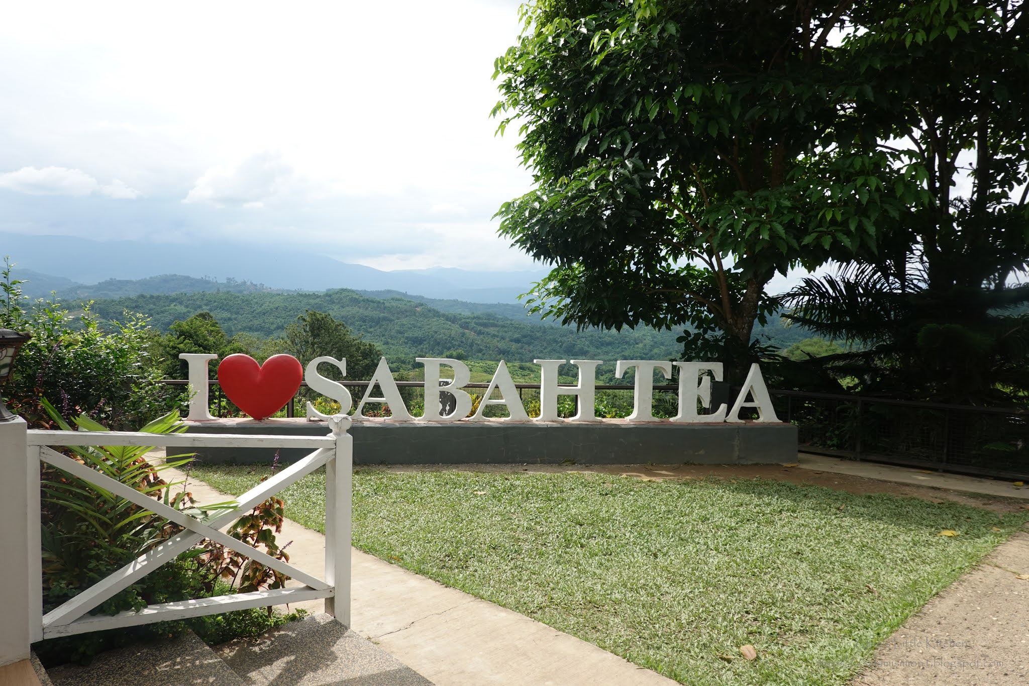 Sabah Tea Garden - Amie's Little Kitchen