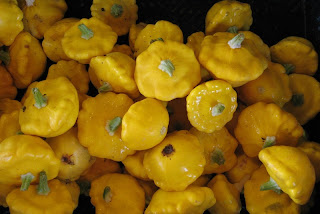 Pattypan squash yellow Pattypan squash