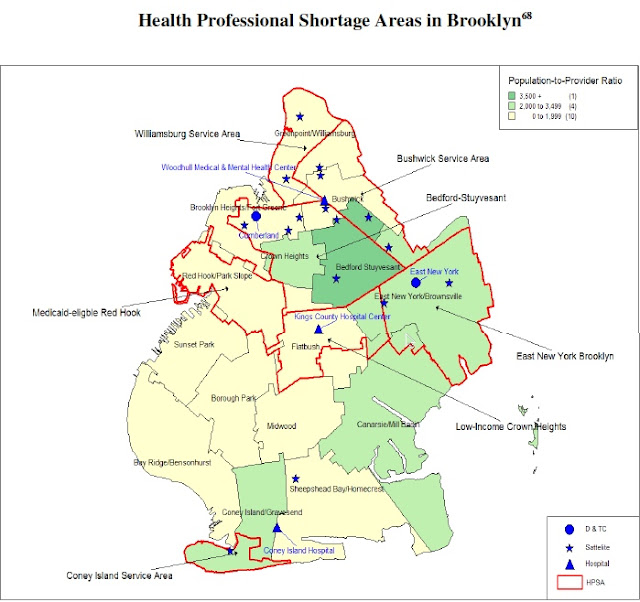Brooklyn's fractured demographics, as seen in a new report on health care