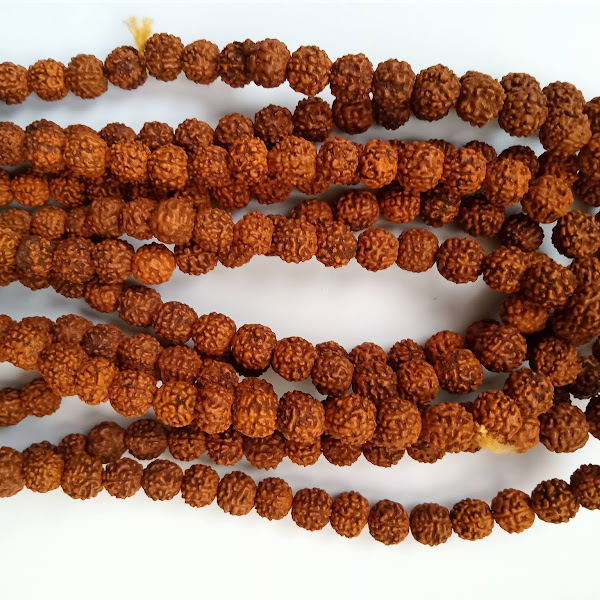 Japa Mala en Rudraksha