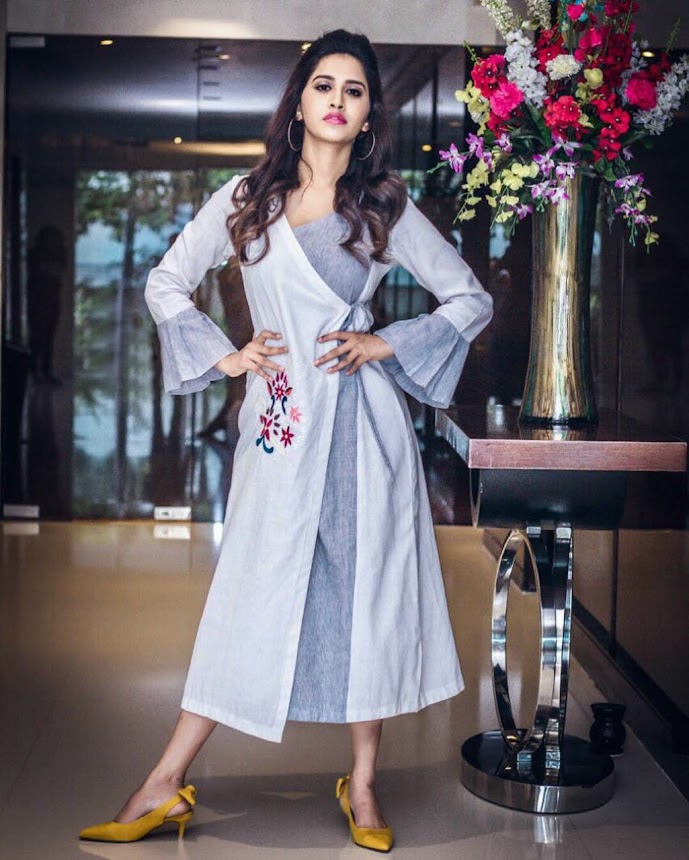 Nabha Natesh at Nannu Dochukunduvate promotion